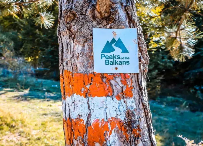 Peaks-of-the-Balkans Trail Markierung am Baum mit rot weißer Farbe